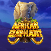 African Elephant screenshot